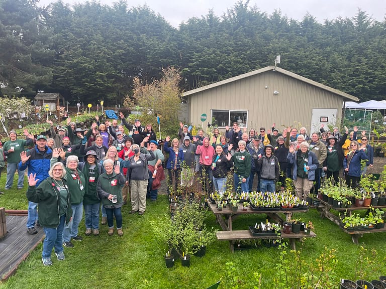 Master Gardener Plant Sale Clallam County Master Gardener Foundation